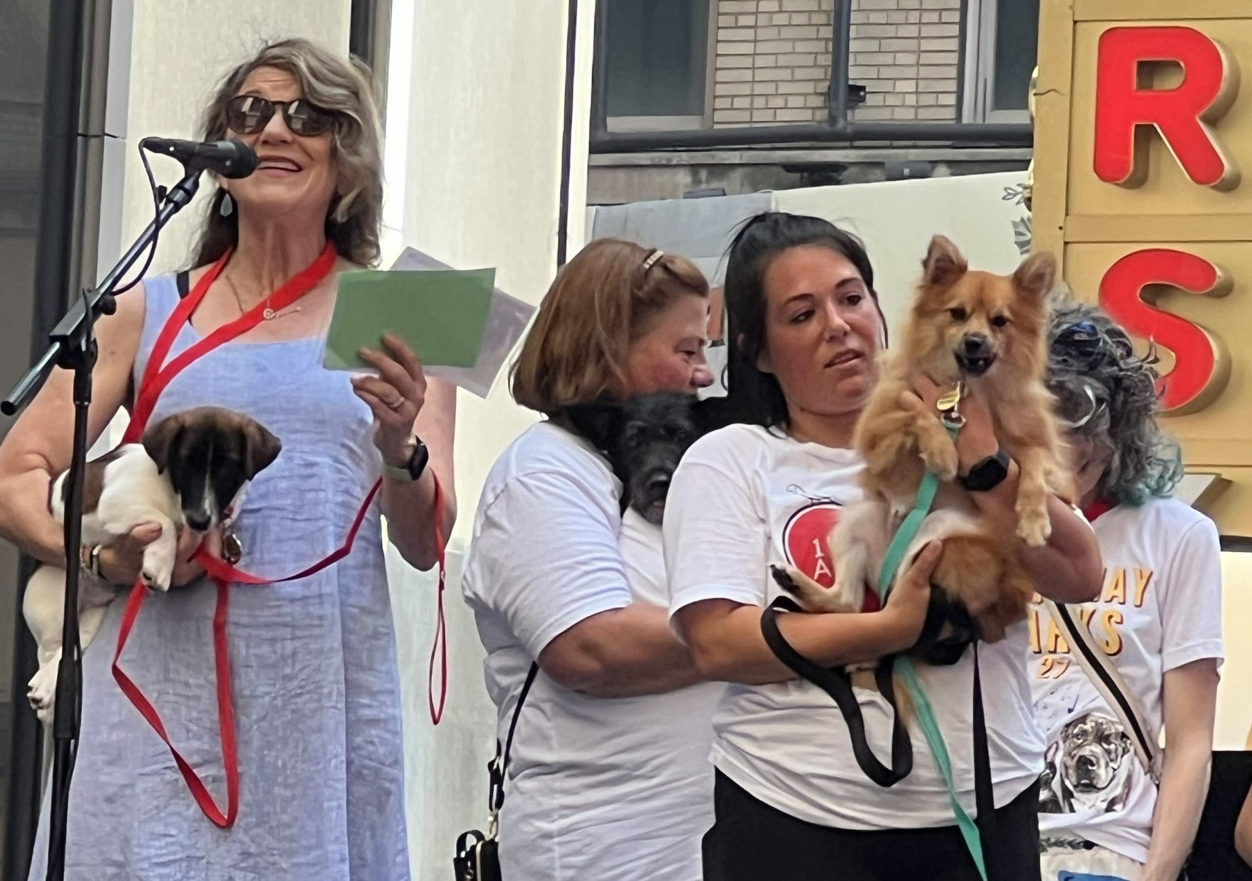 Broadway casts on stage to help dogs get adopted at Broadway Barks